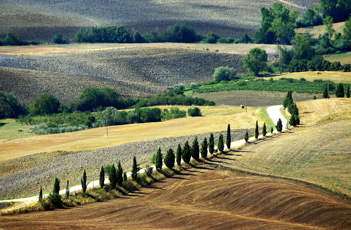 Sfumature in Val d'Orcia