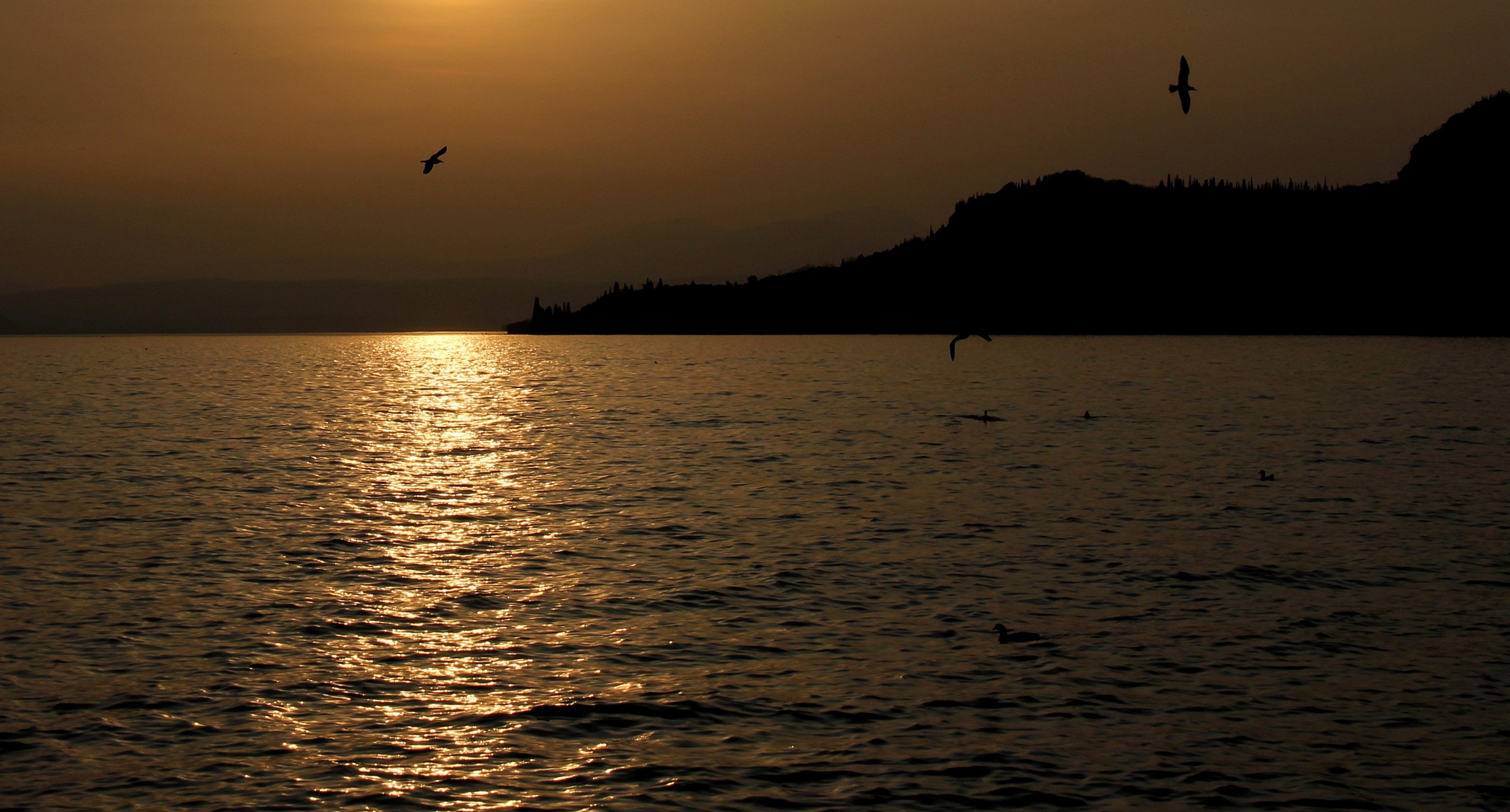 At the lake in the evening