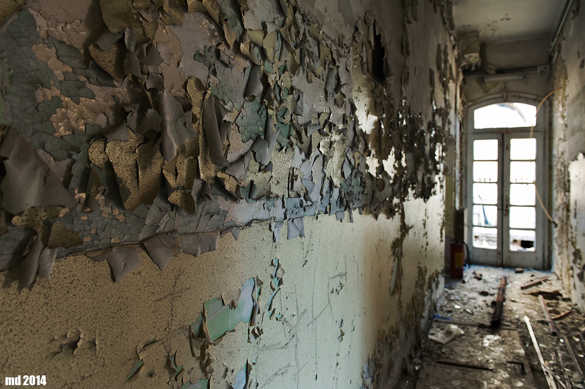 Agghiacciante tour 2014