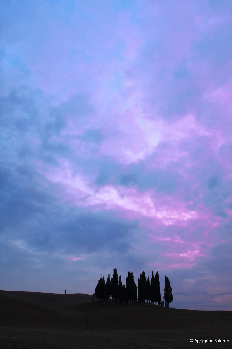 Val D'orcia, I cipressini di S. Quirico