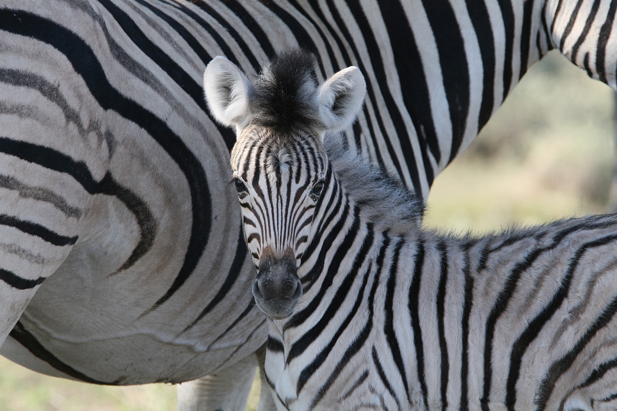 mamma....che vuole questo?