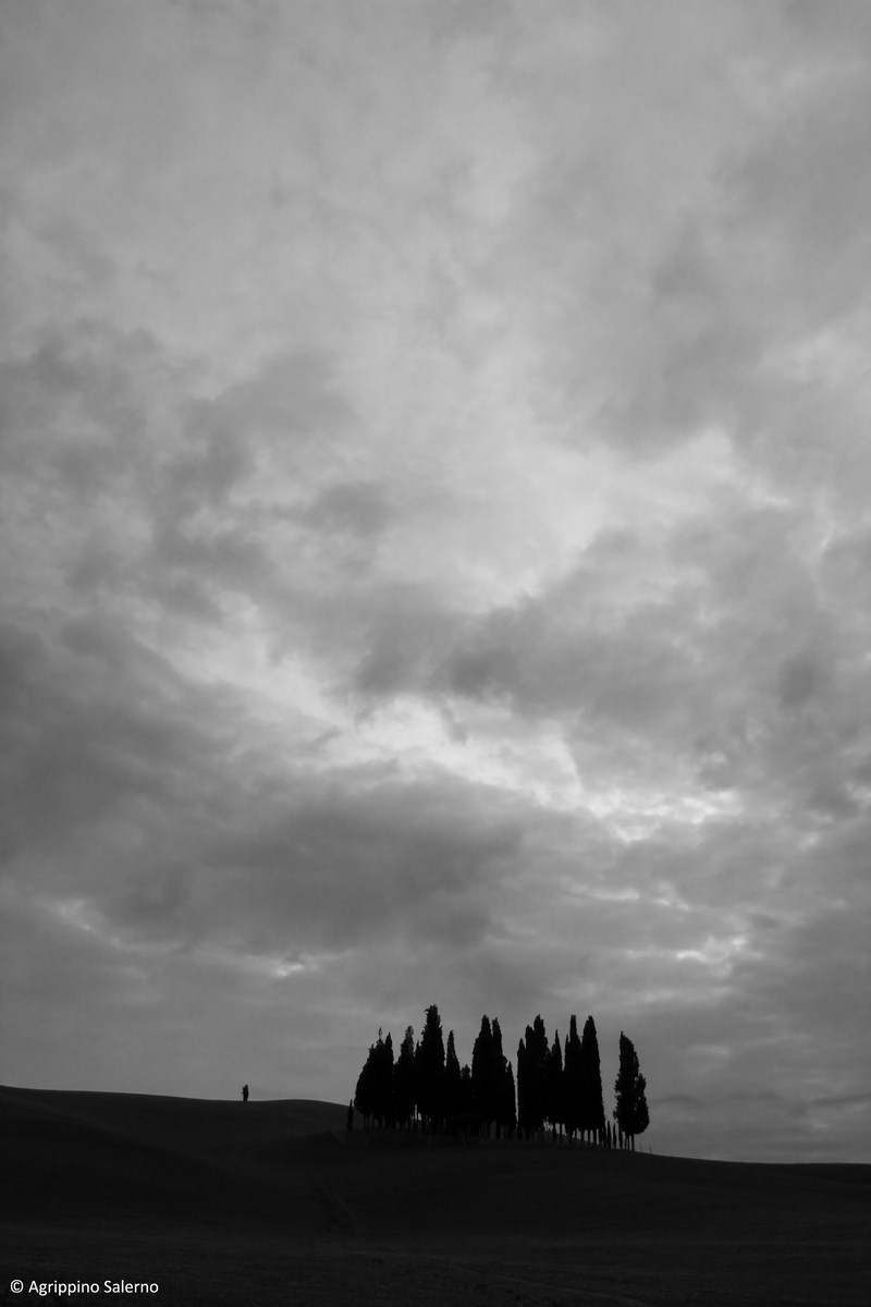 Val D'orcia, I cipressini di S. Quirico