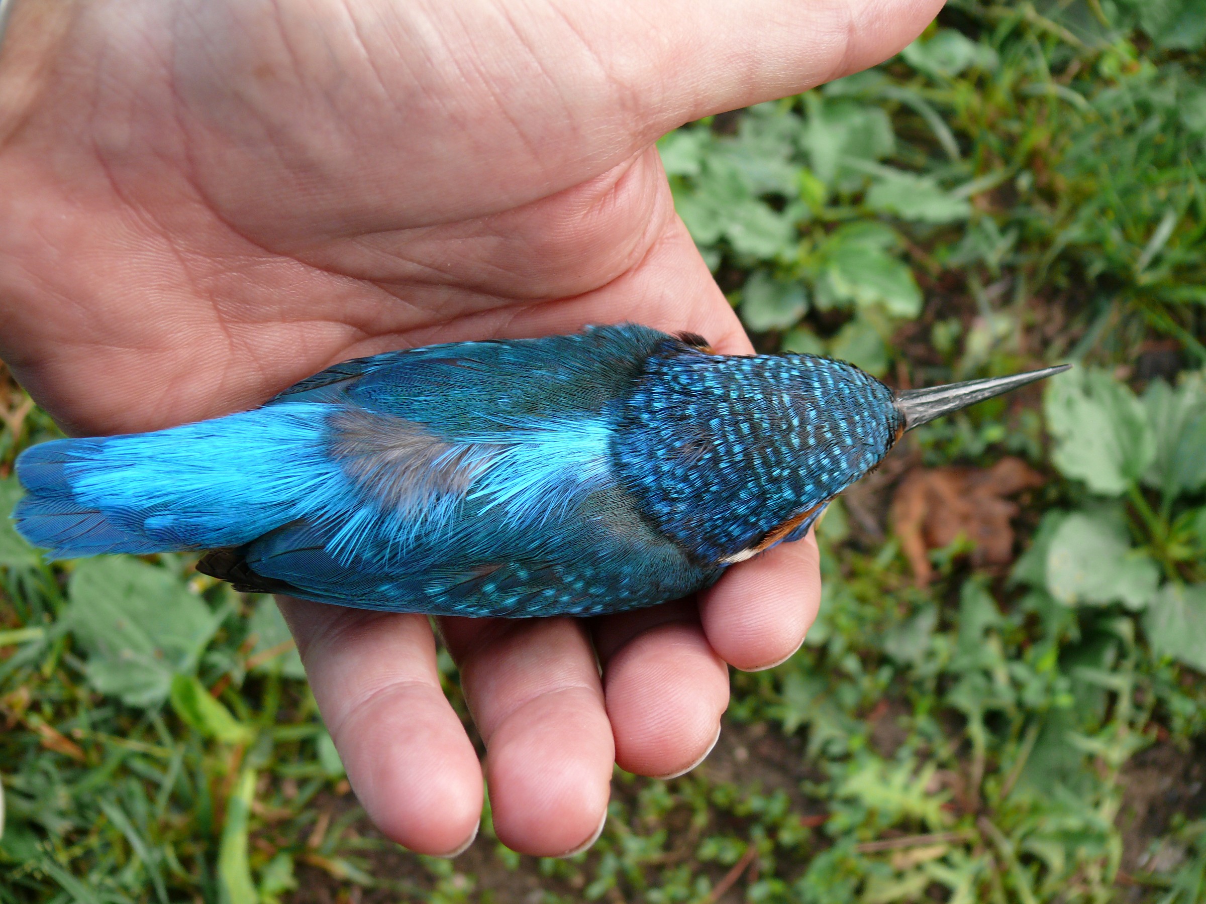 Happy ending for Martin