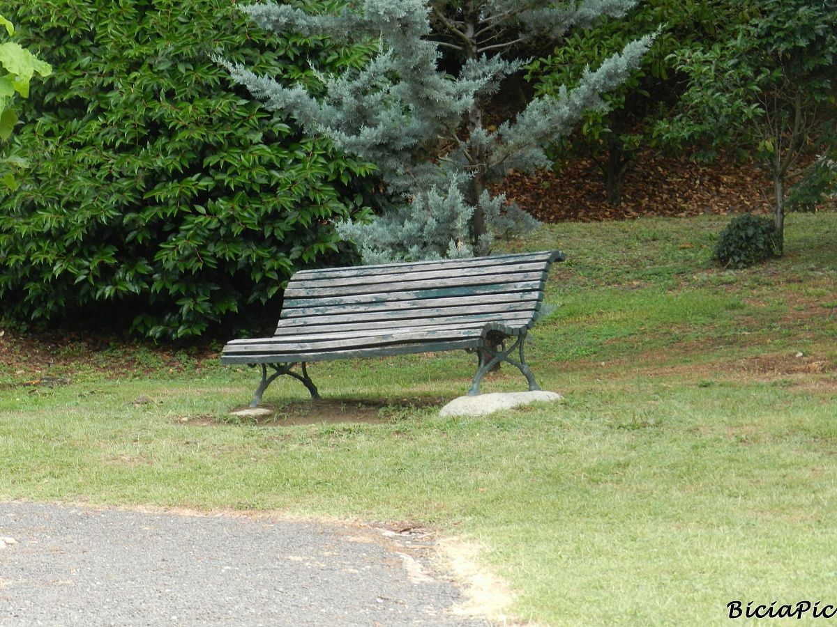 Bench
