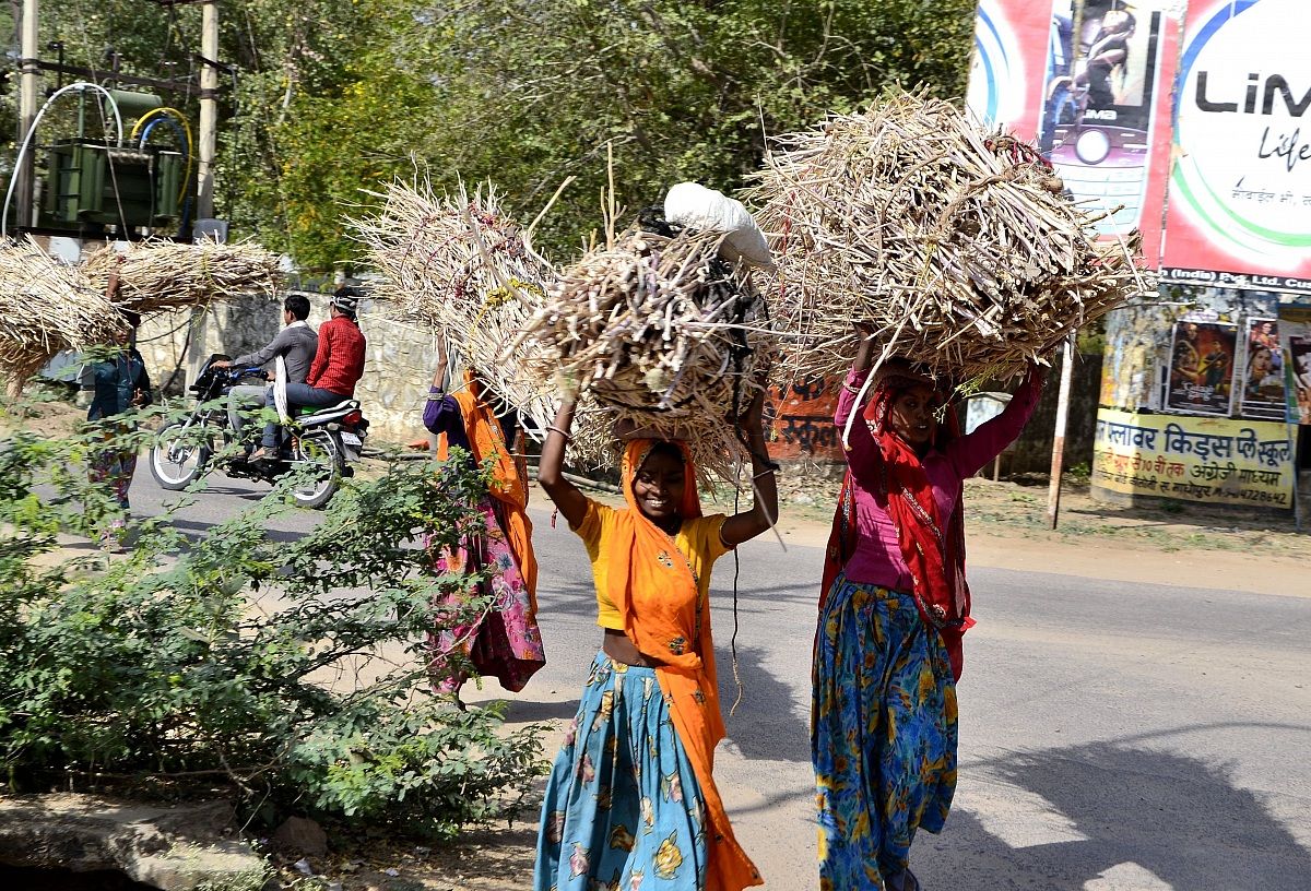 Donne al lavoro (Rathambore Park)