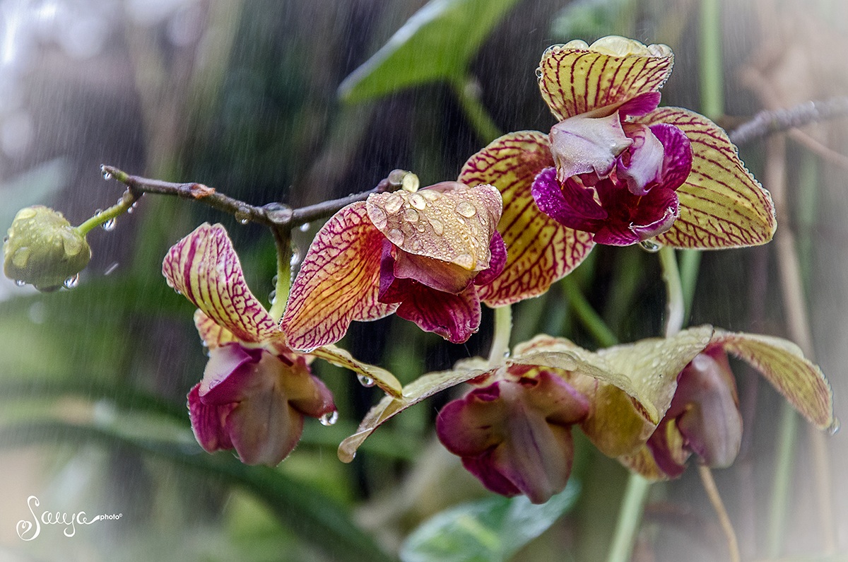 But the wind still blows