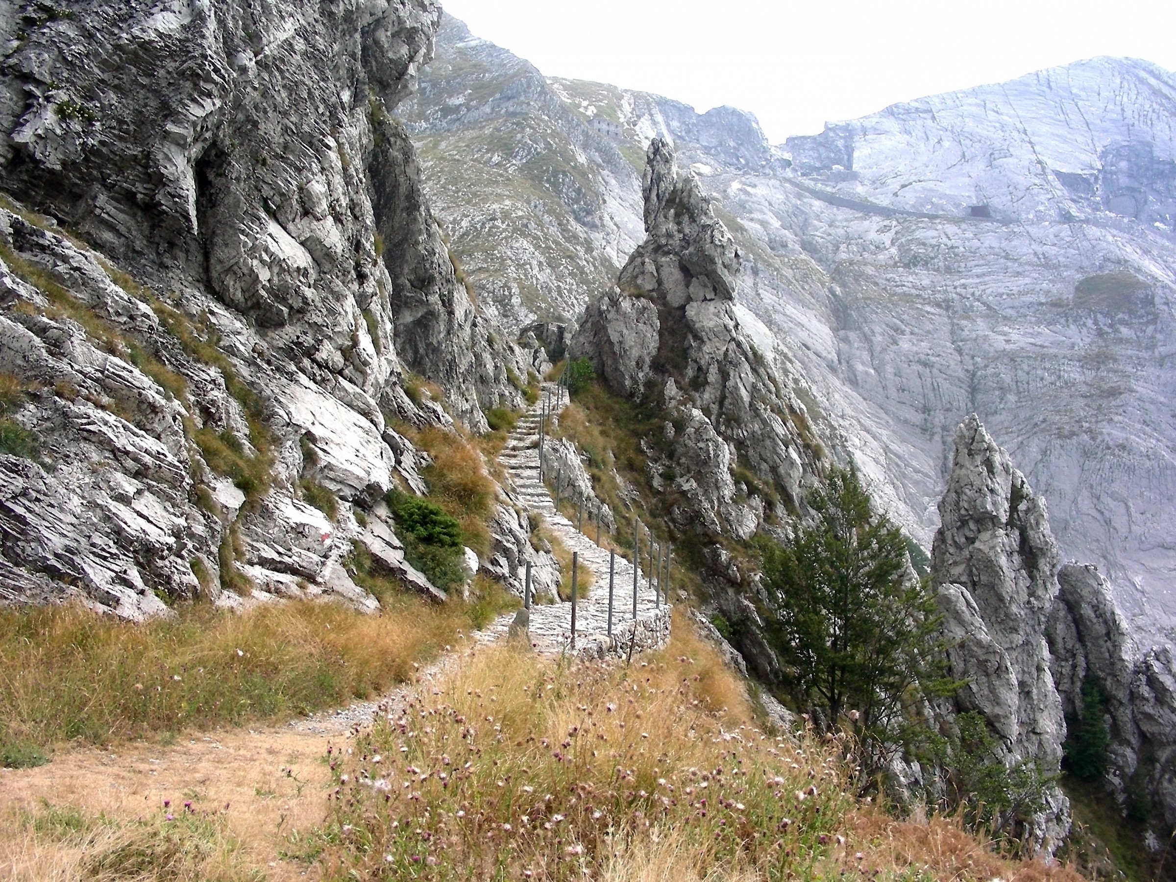 Parco delle Alpi Apuane