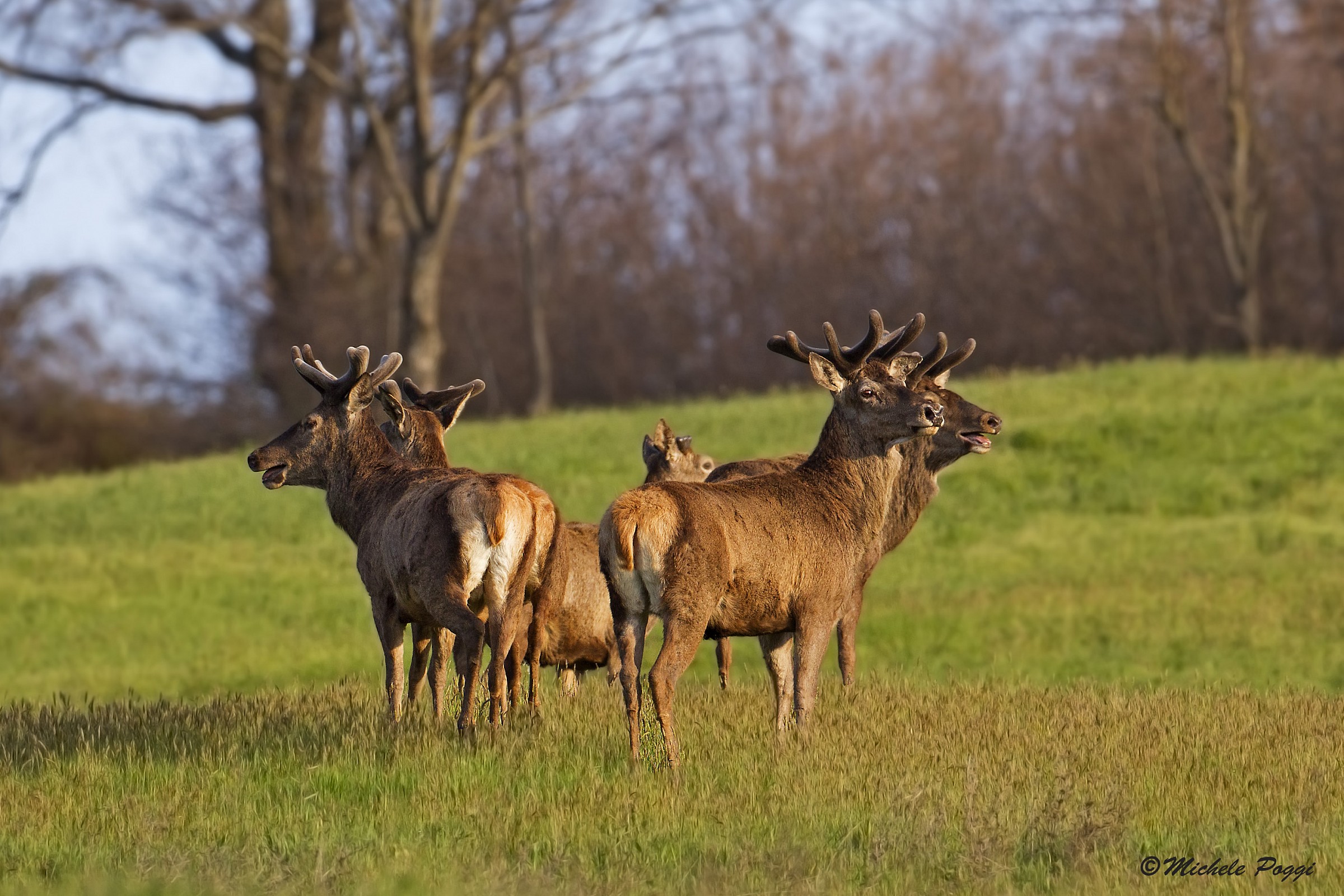 A place in the sun .....