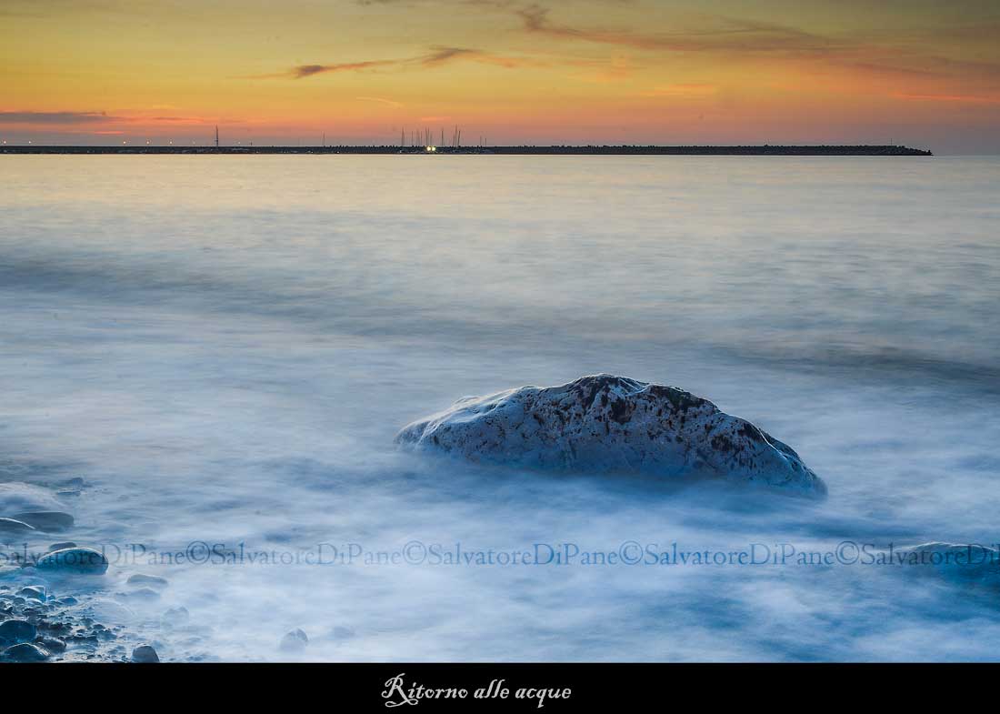 Return to the waters