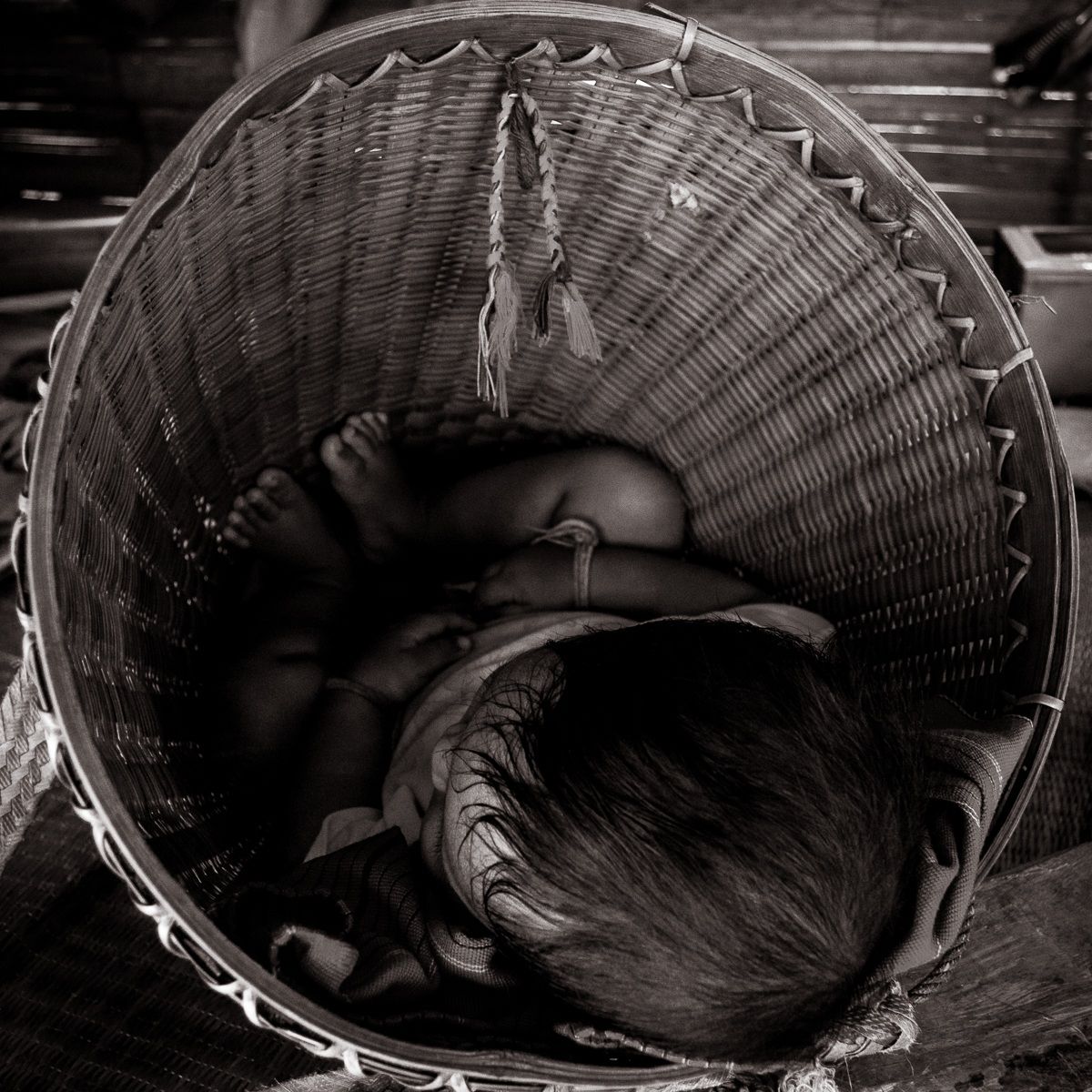 Sleeping in a basket