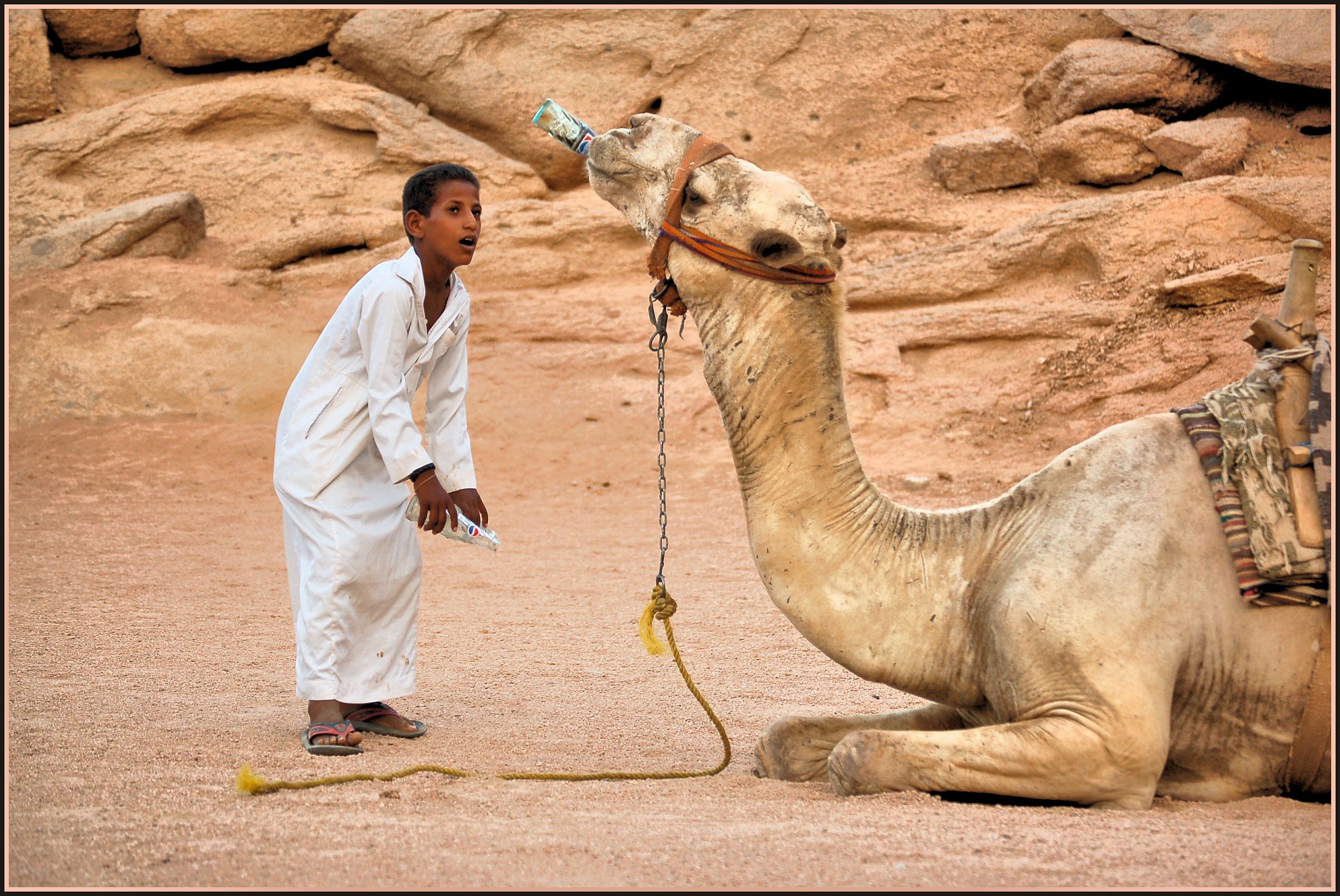 Thirst in the desert