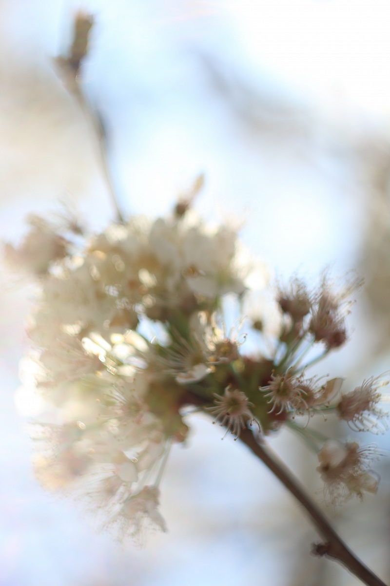 me and you and our sweet morning bokhed