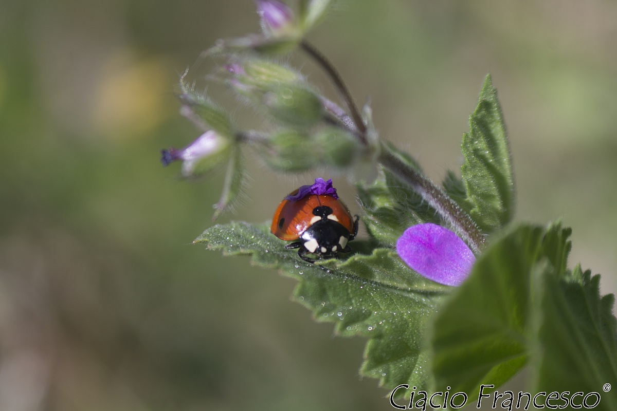 aahh! finalmente fuori!!