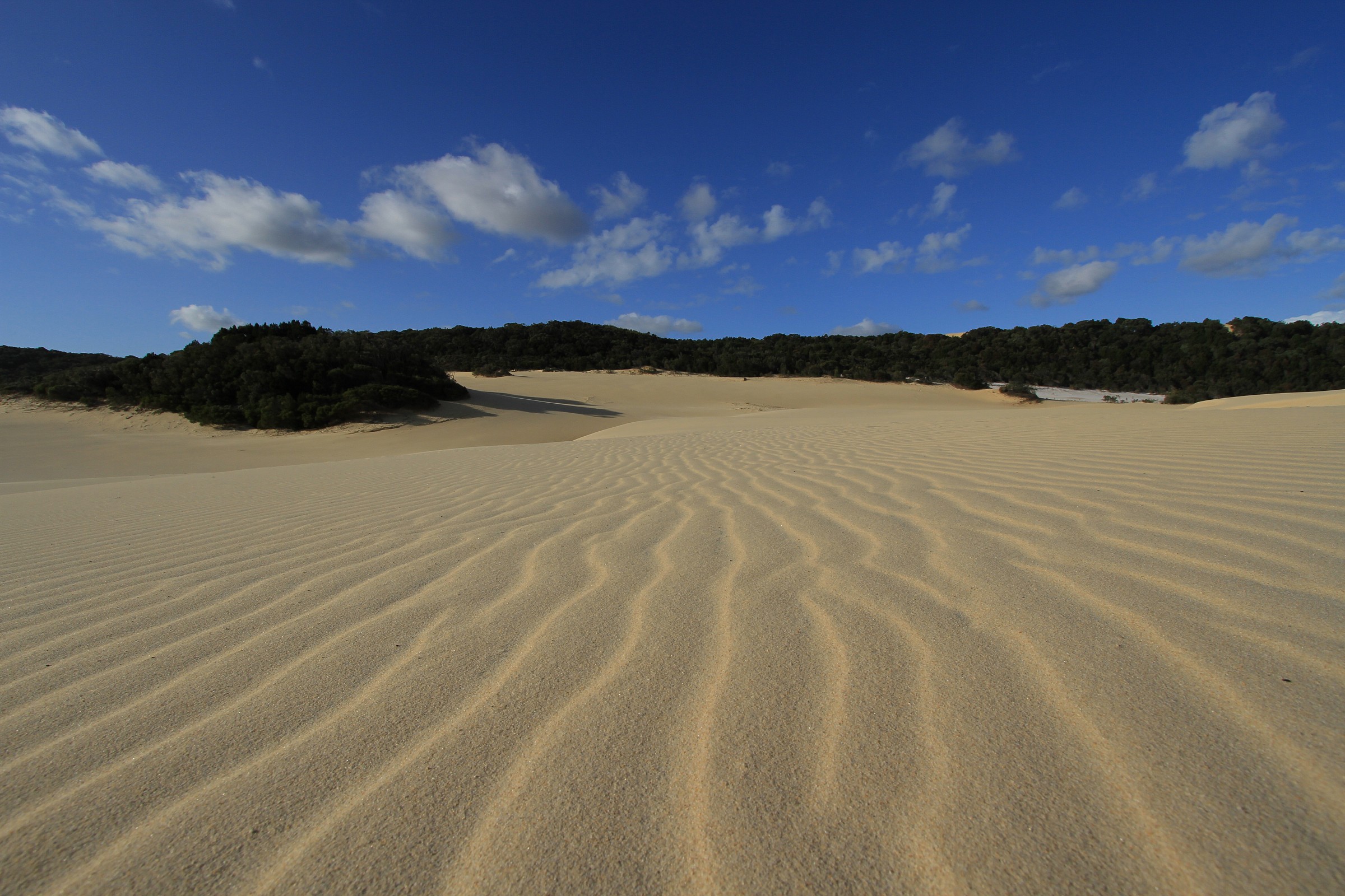 Fraser Island 2