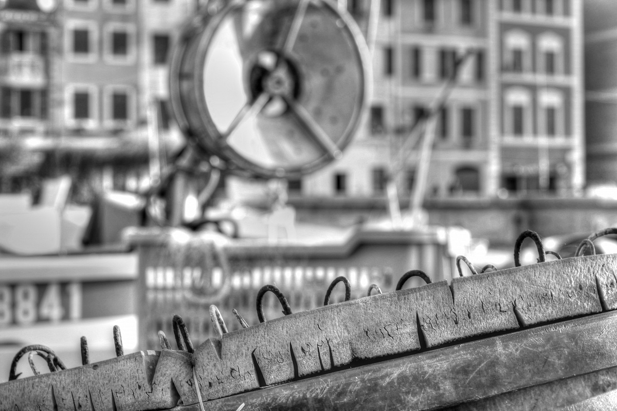 Cesta palamito Genova Nervi