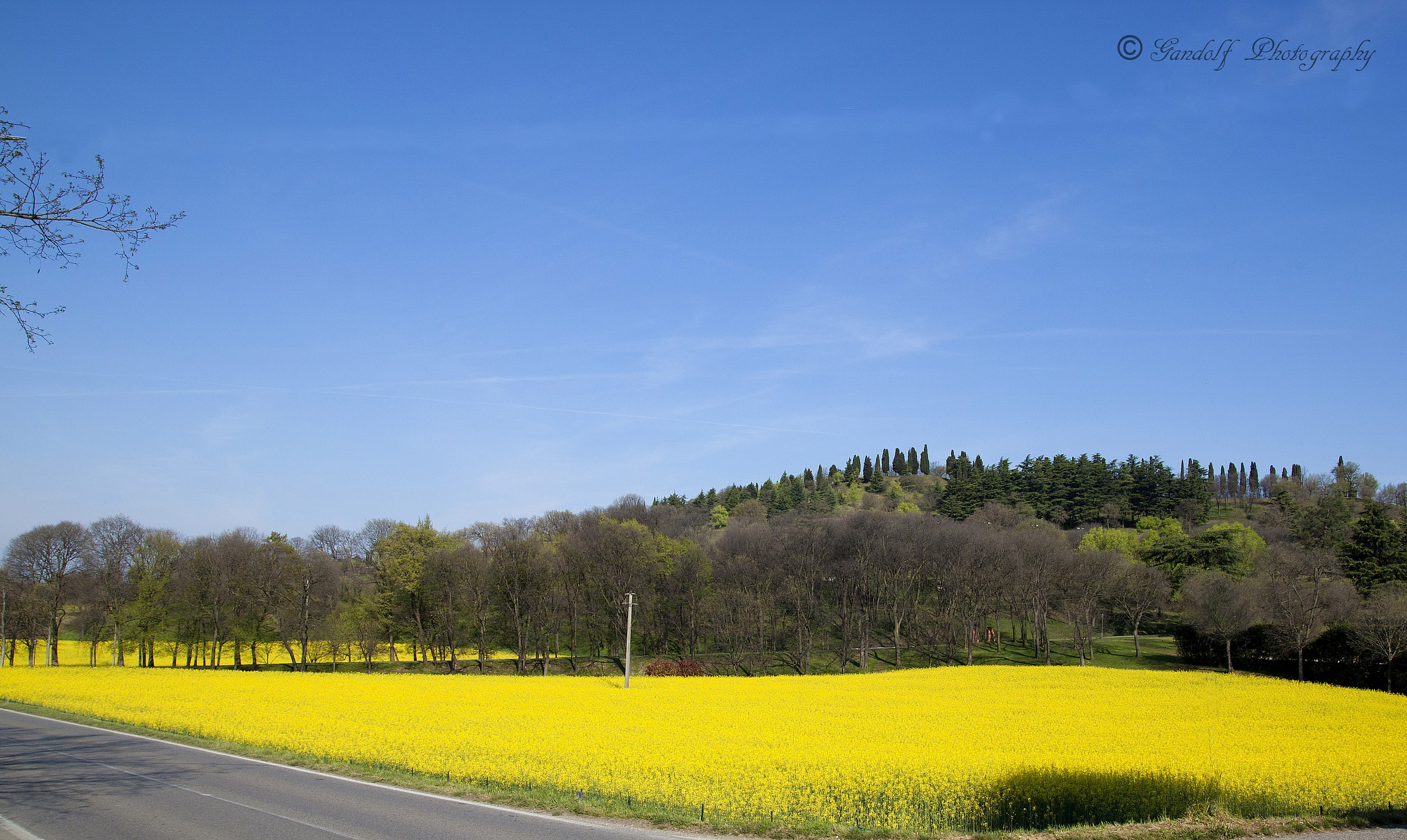 I colori della primavera