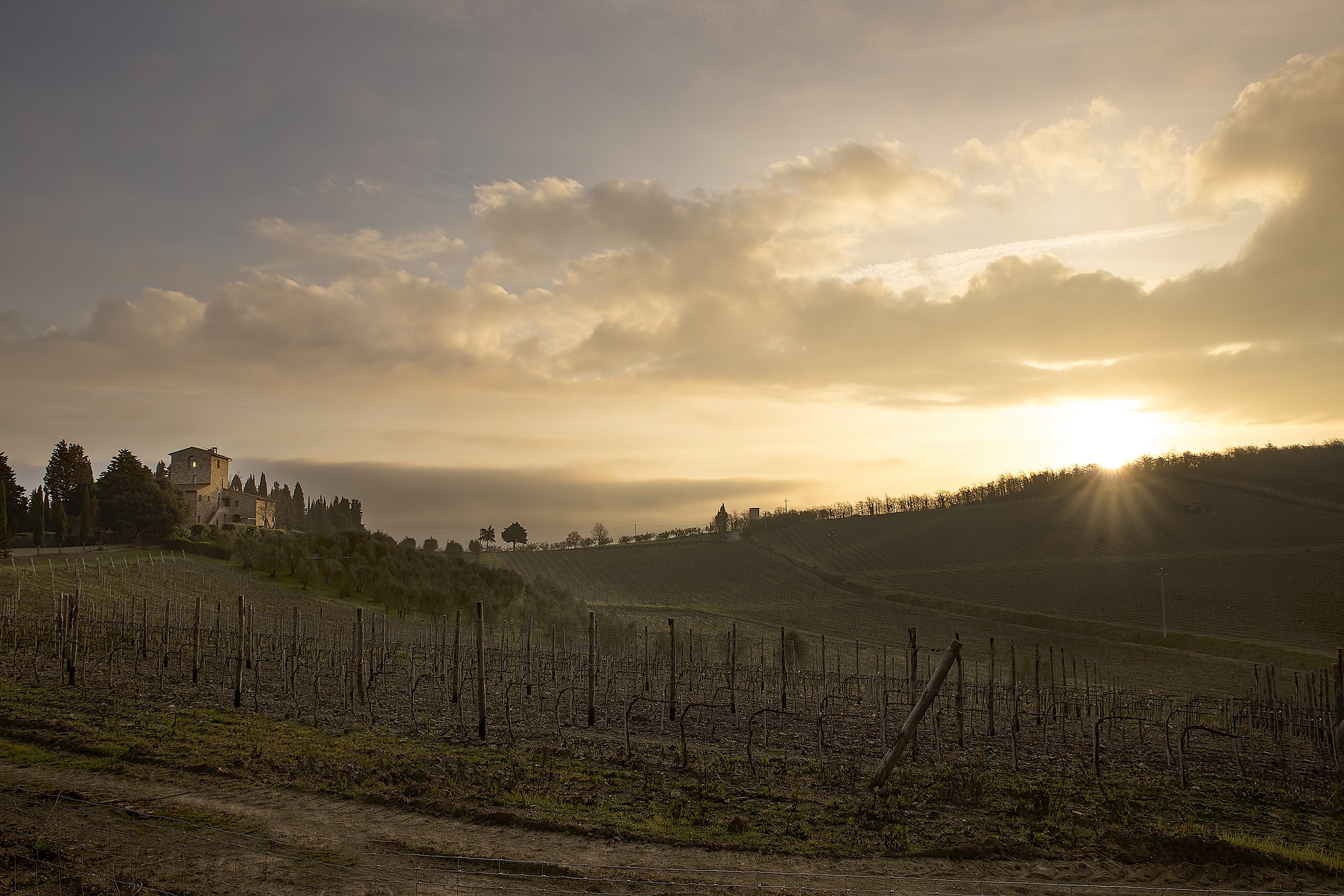 Inseguendo il sole nel Chianti