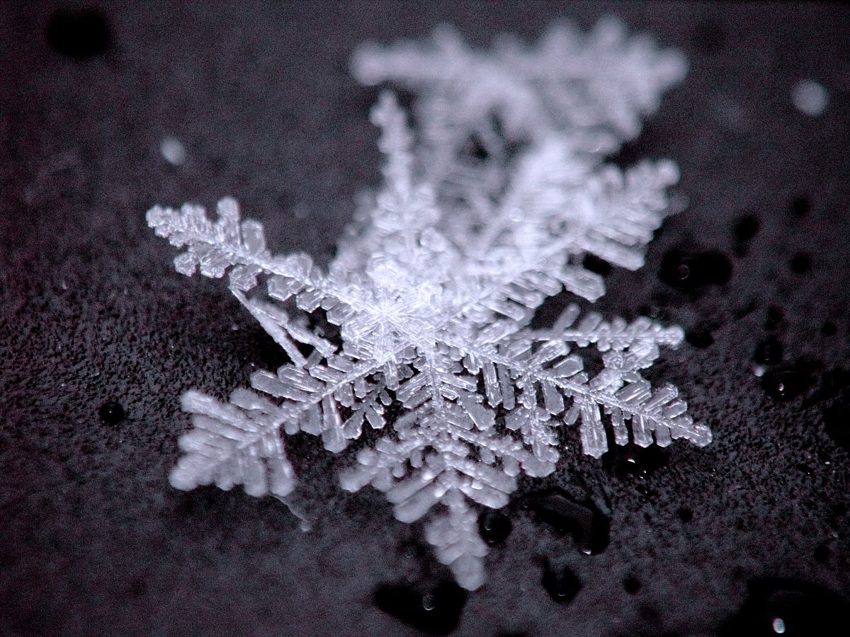 Snowflake