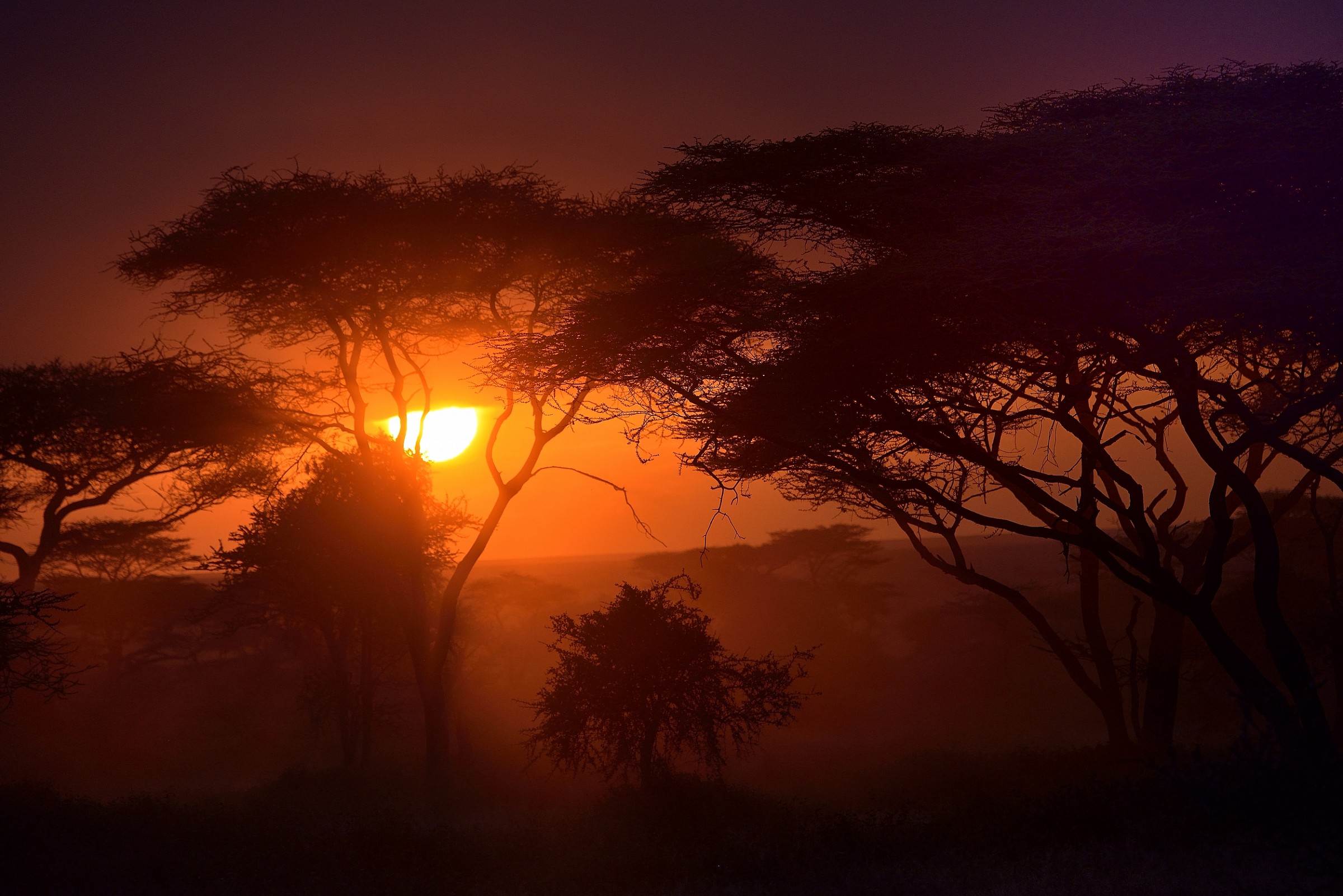 Ngorongoro Conservation Area  - Tramonto
