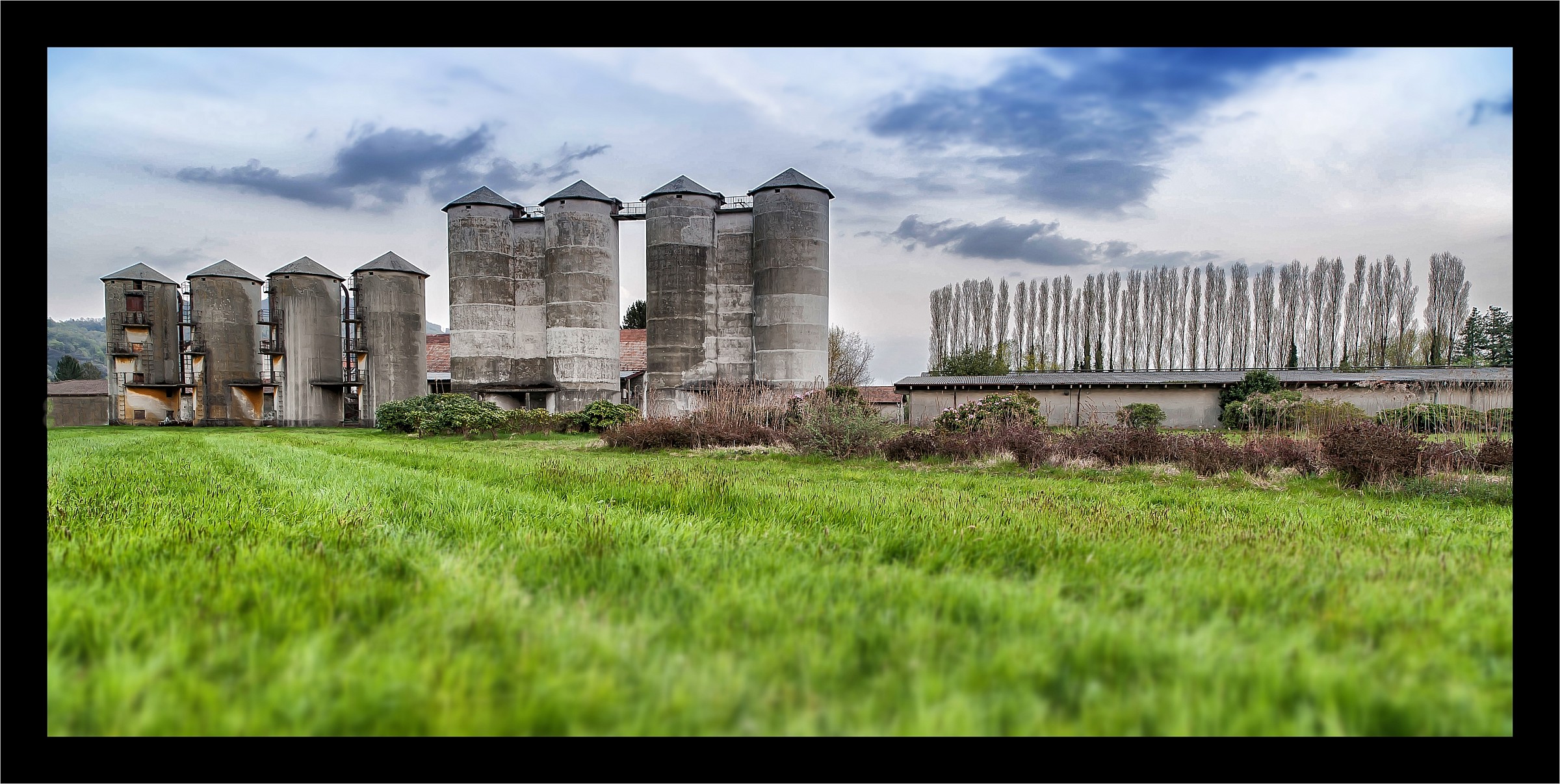 Silos and Poplars ...