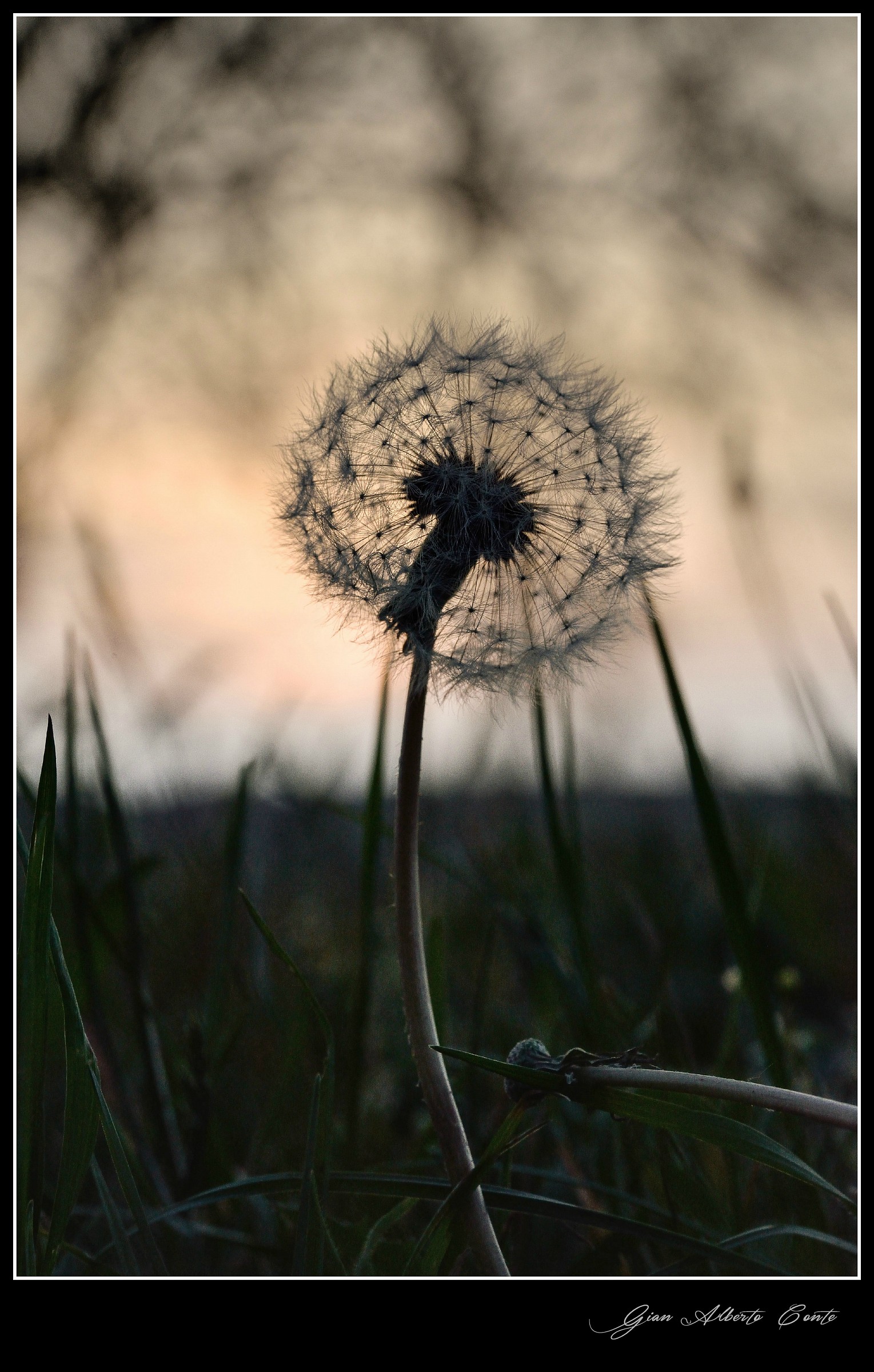 The last breath of light