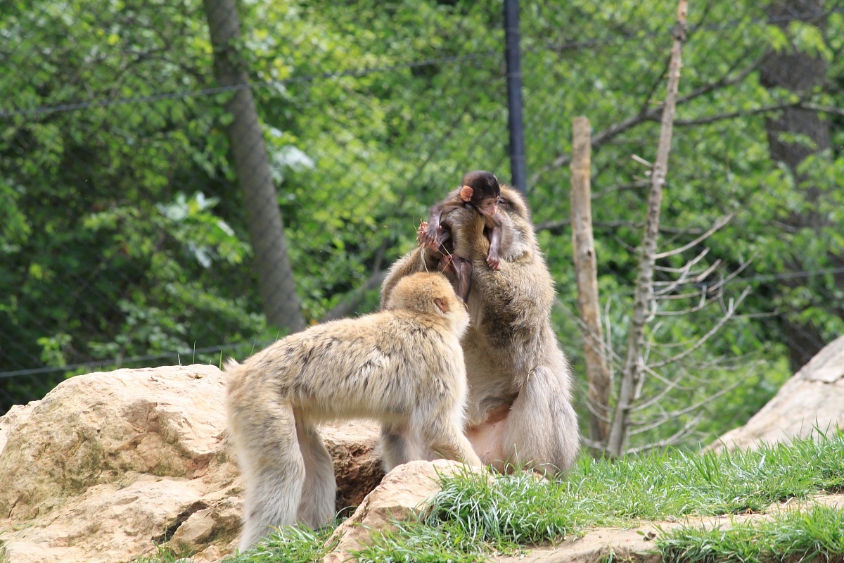 Le mamme sono sempre le mamme...
