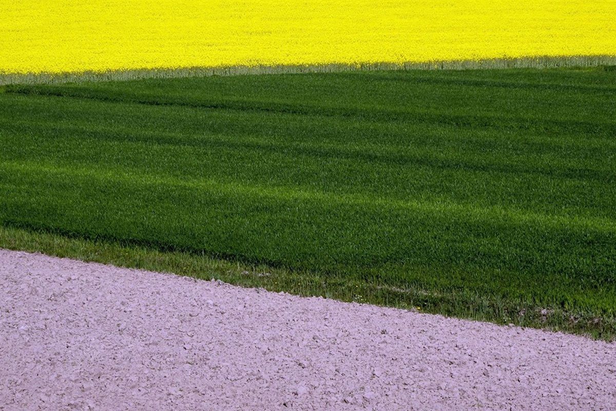 Ground wheat and oilseed rape