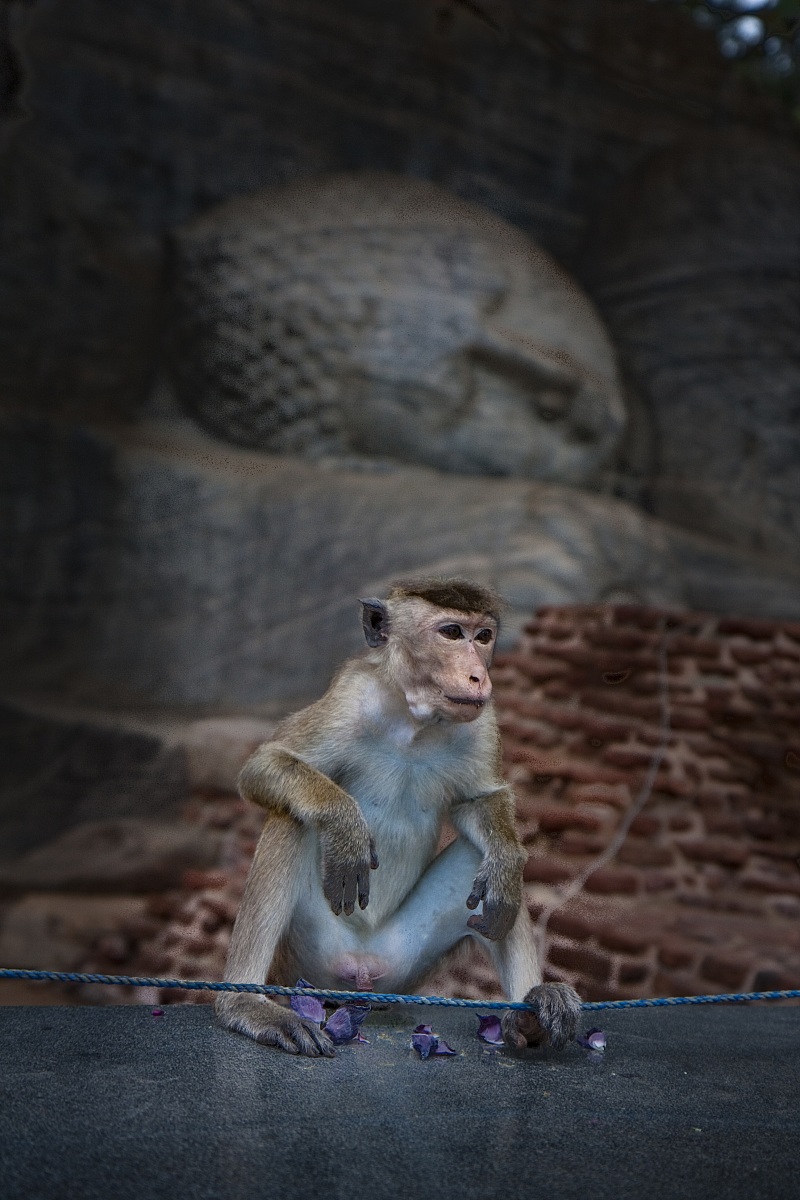 Il Sacro e il Profano