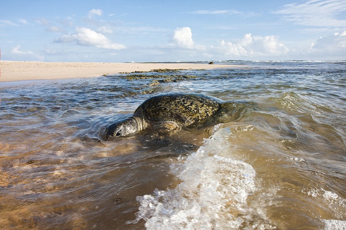 incontri inaspettati