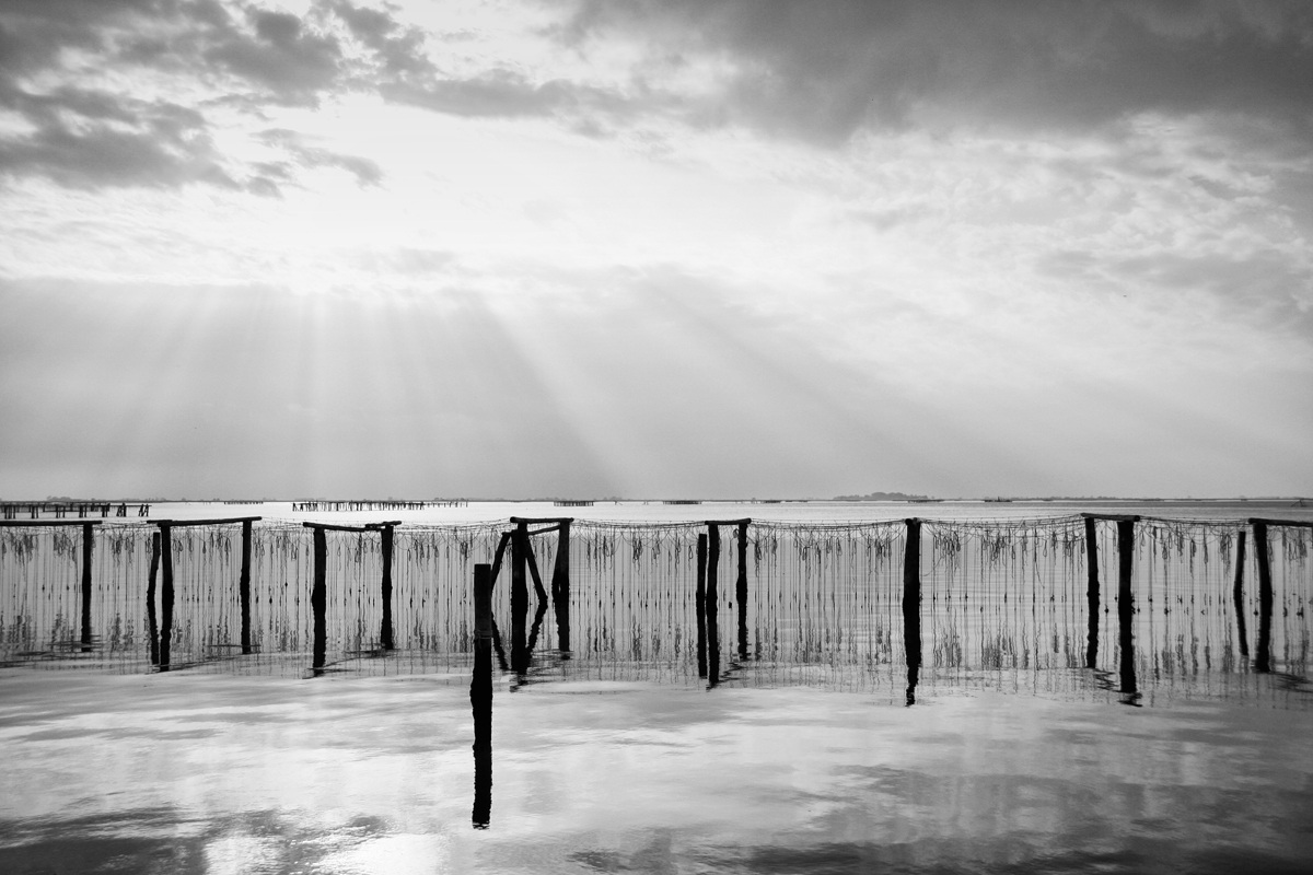 Sacca di Scardovari 1