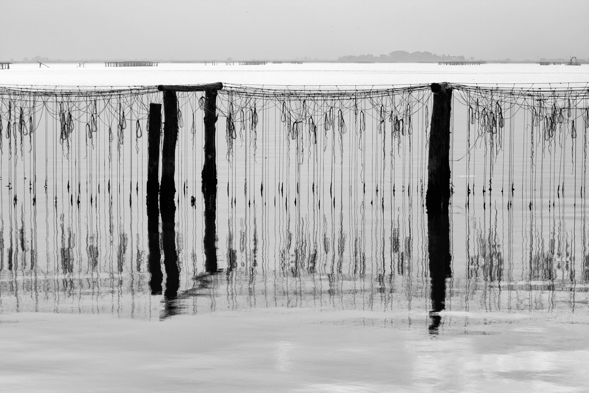 Sacca di Scardovari 3