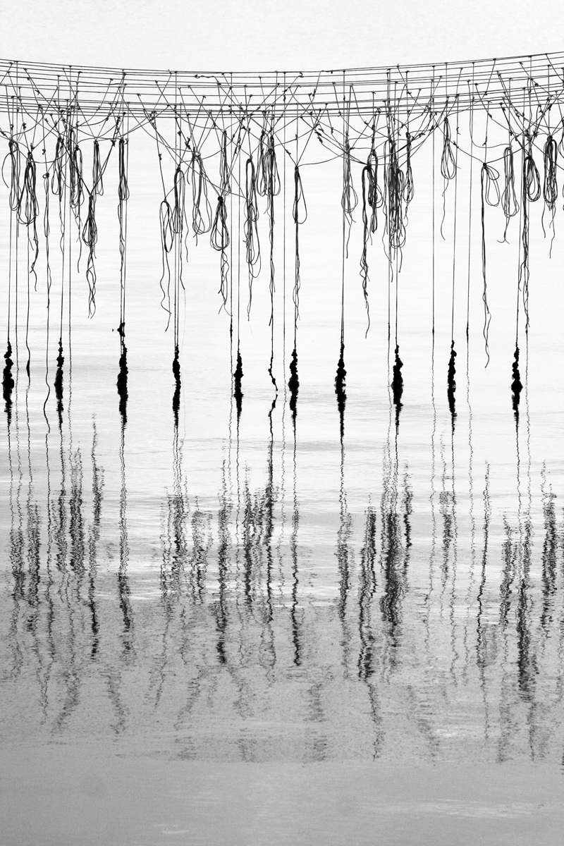 Sacca di Scardovari 4