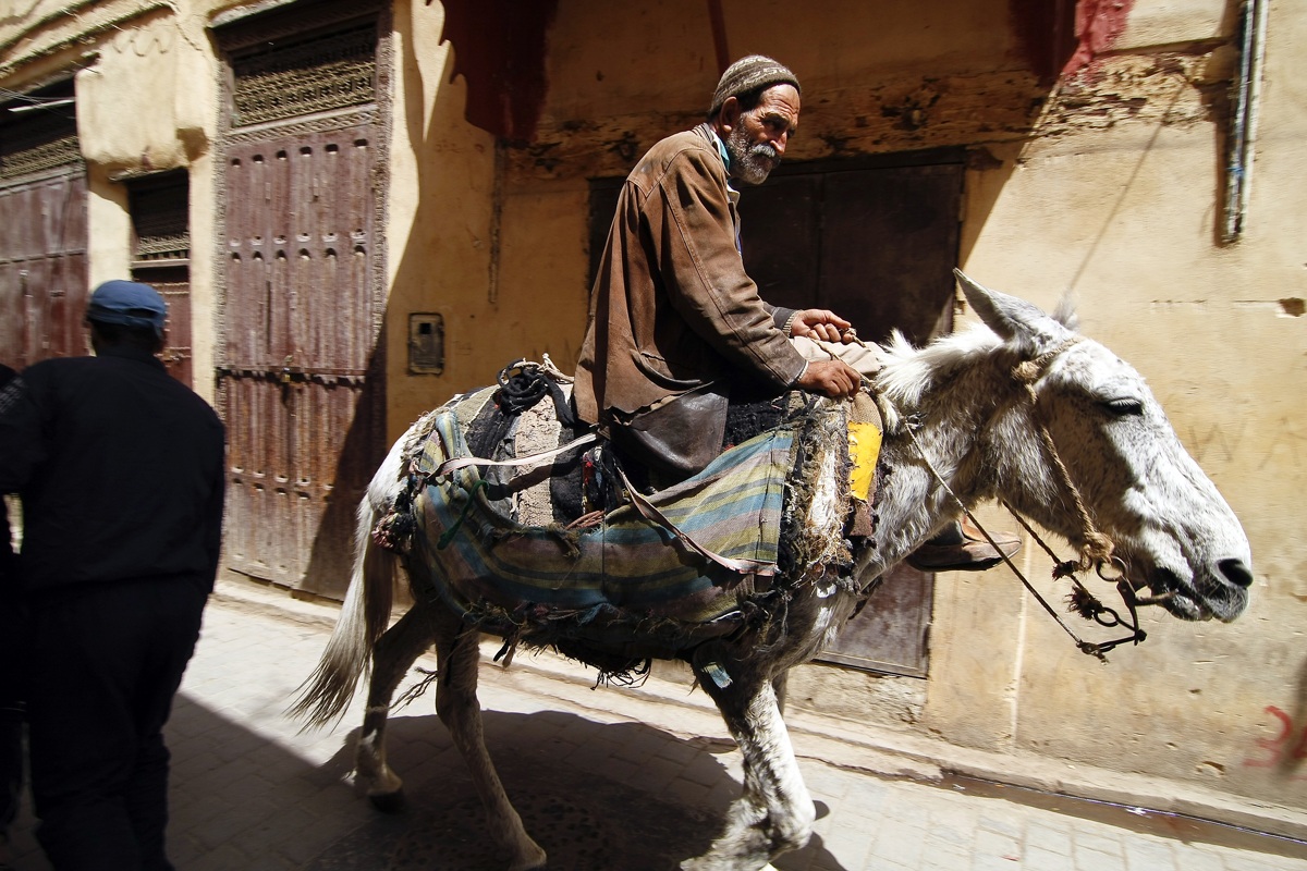 Moving in the souk