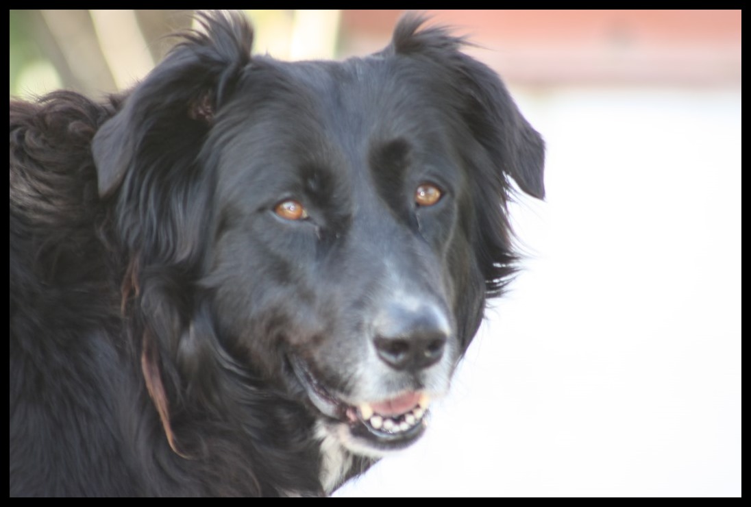 la mia modella preferita