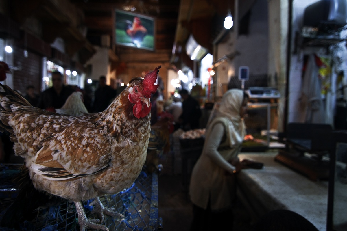 a legitimate concern