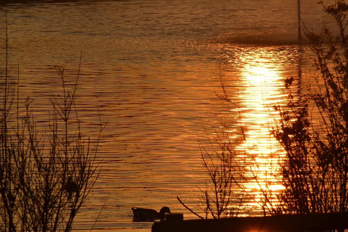 Tramonto Parco Trucca