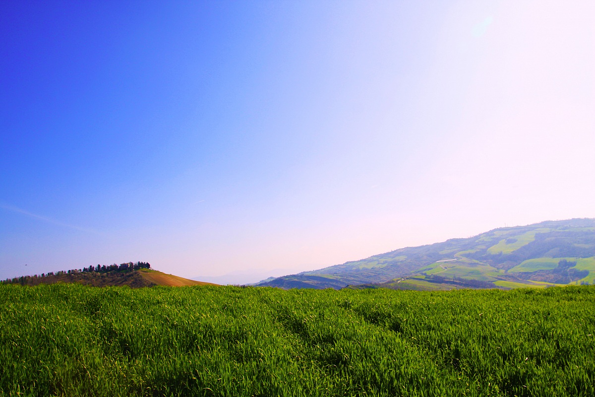 Sopra alla collina