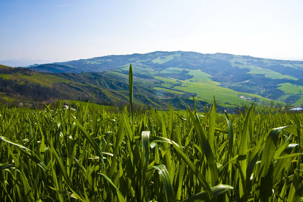 Prospettive interessanti