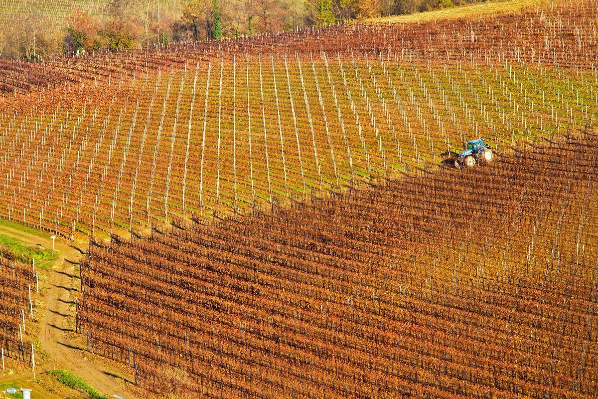 I colori delle Langhe