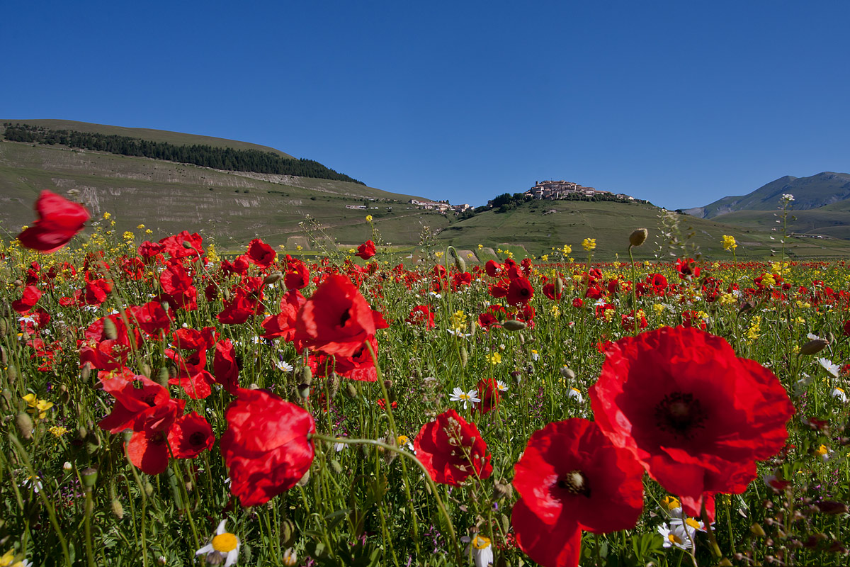 Uno dei paesi più fotografati ... Castelluccio di Nor...
