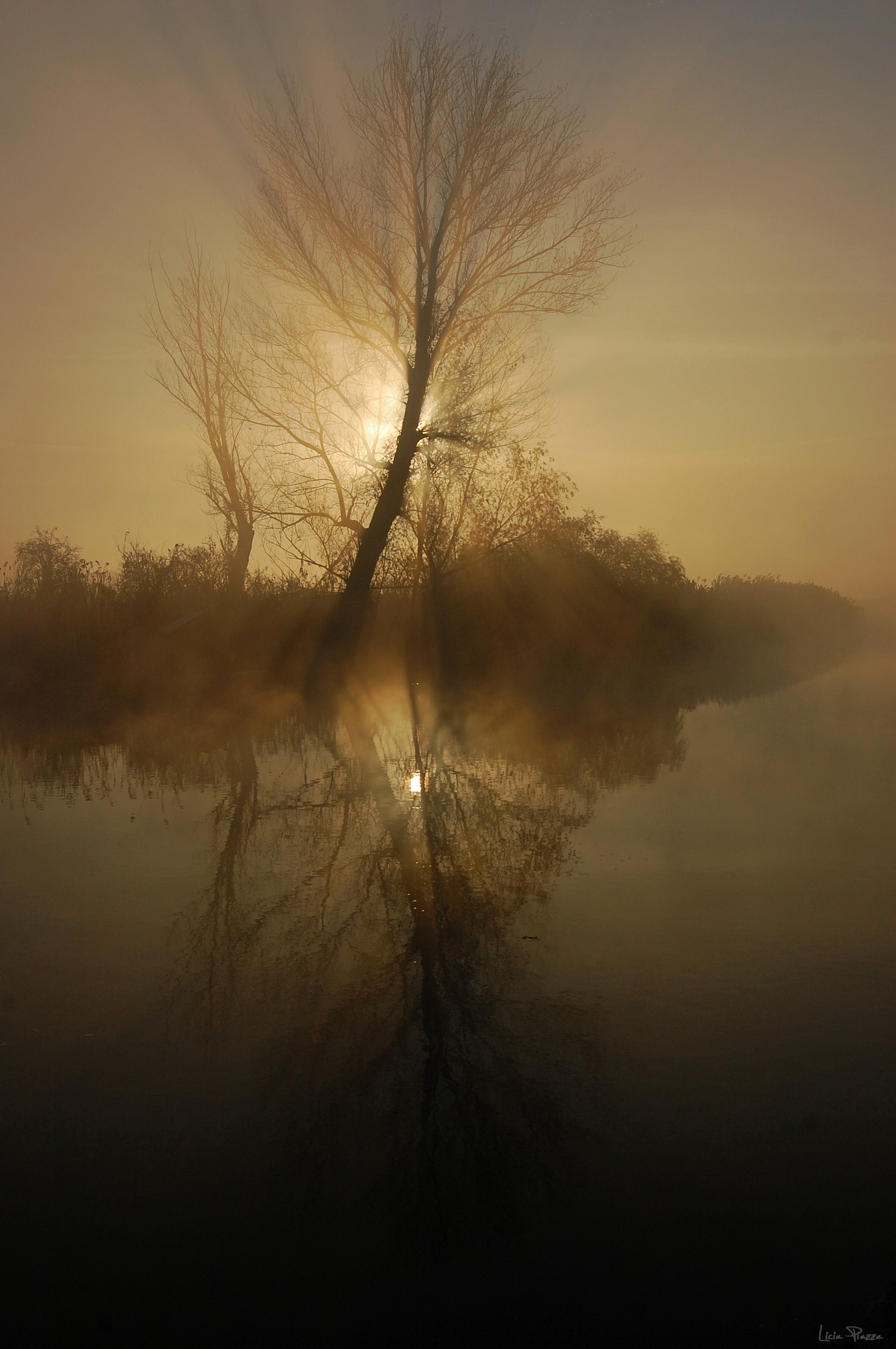 Luci e ombre sul fiume