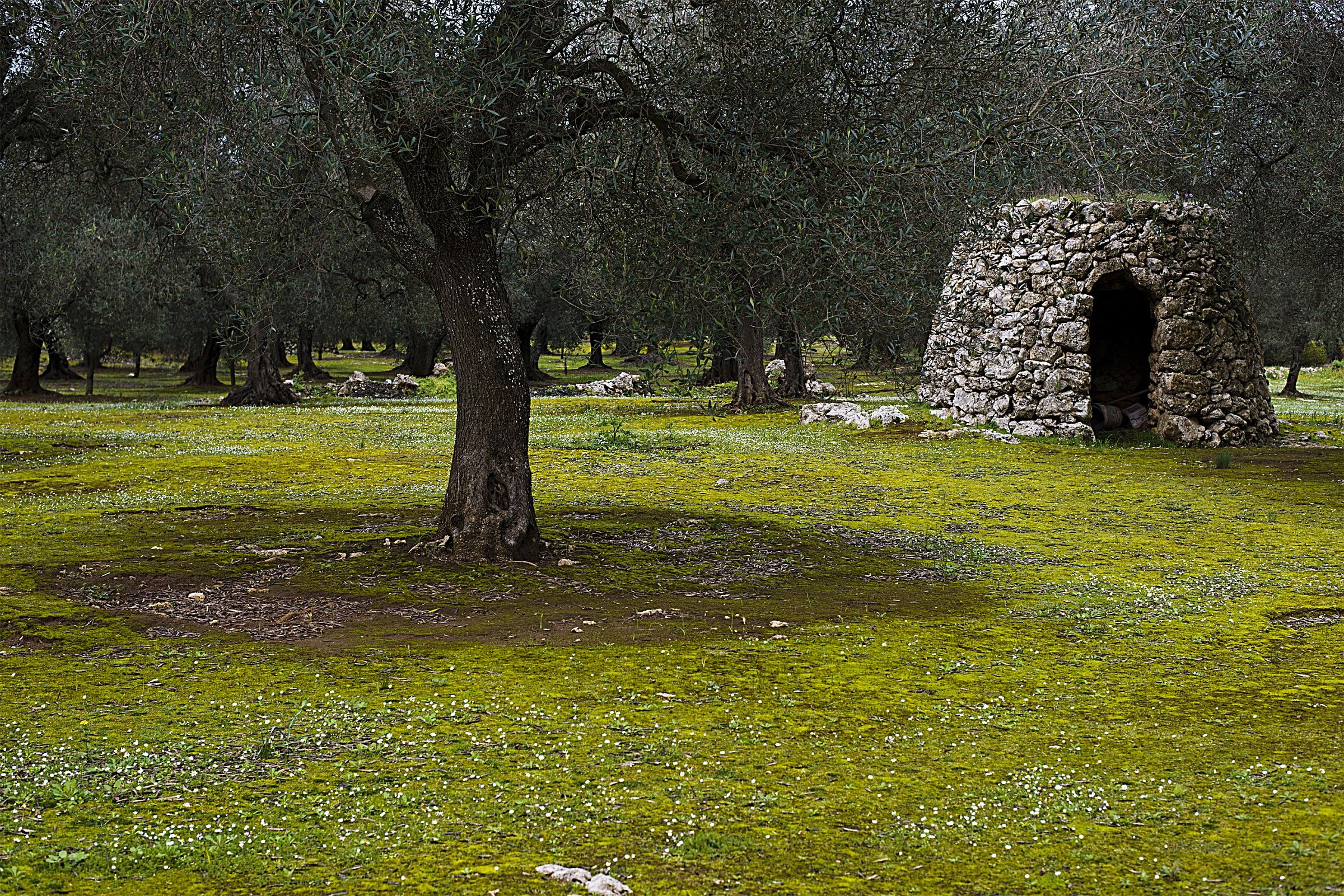 Paiaru small Salento countryside landscape