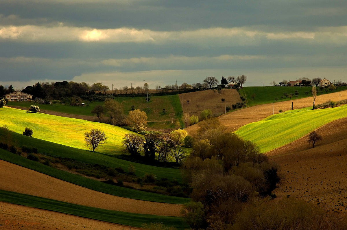 Pennellate di Primavera2
