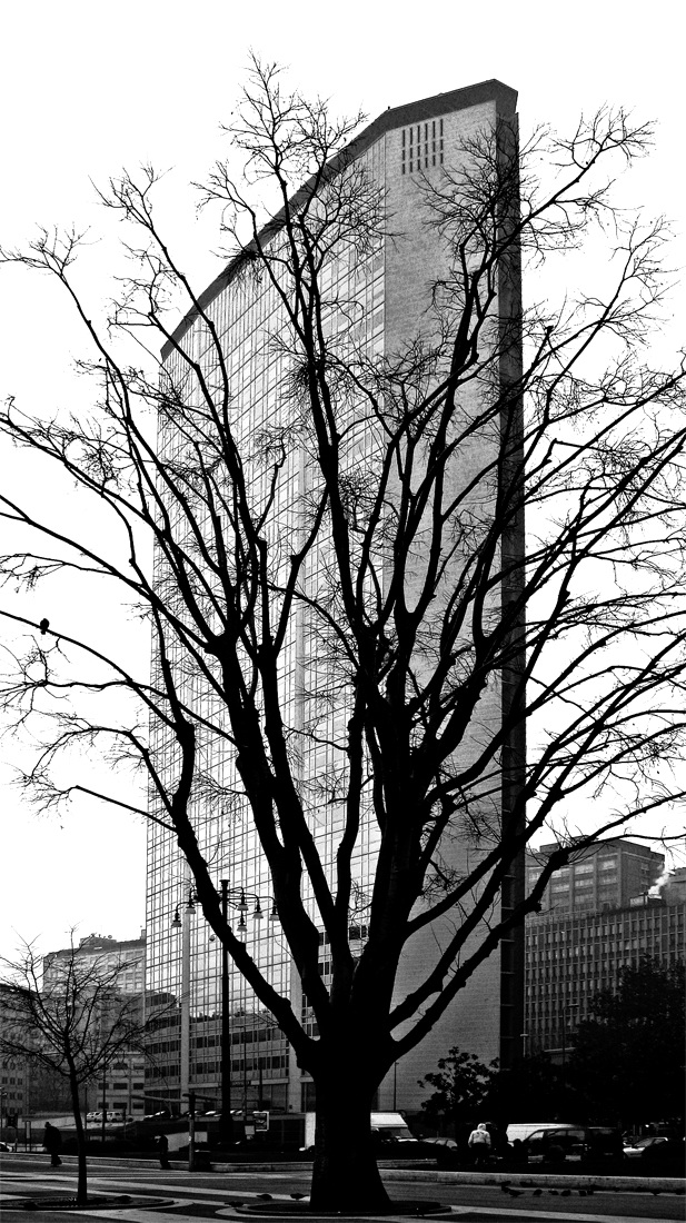 The tree of thirty stories