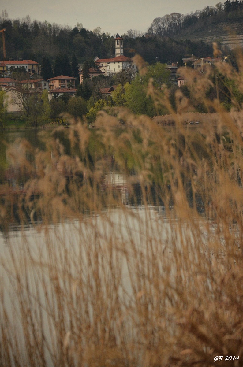 Chiesa tra i canneti