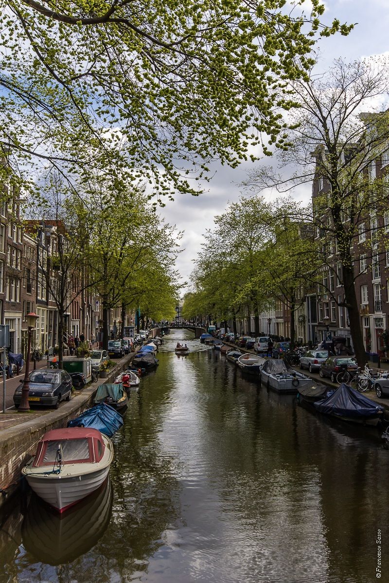 Canale di Amsterdam