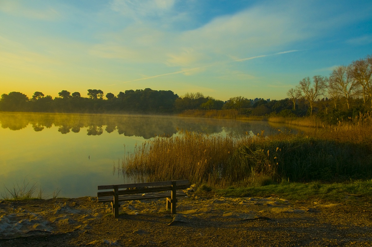 Alimini,lago grande       Paesaggio