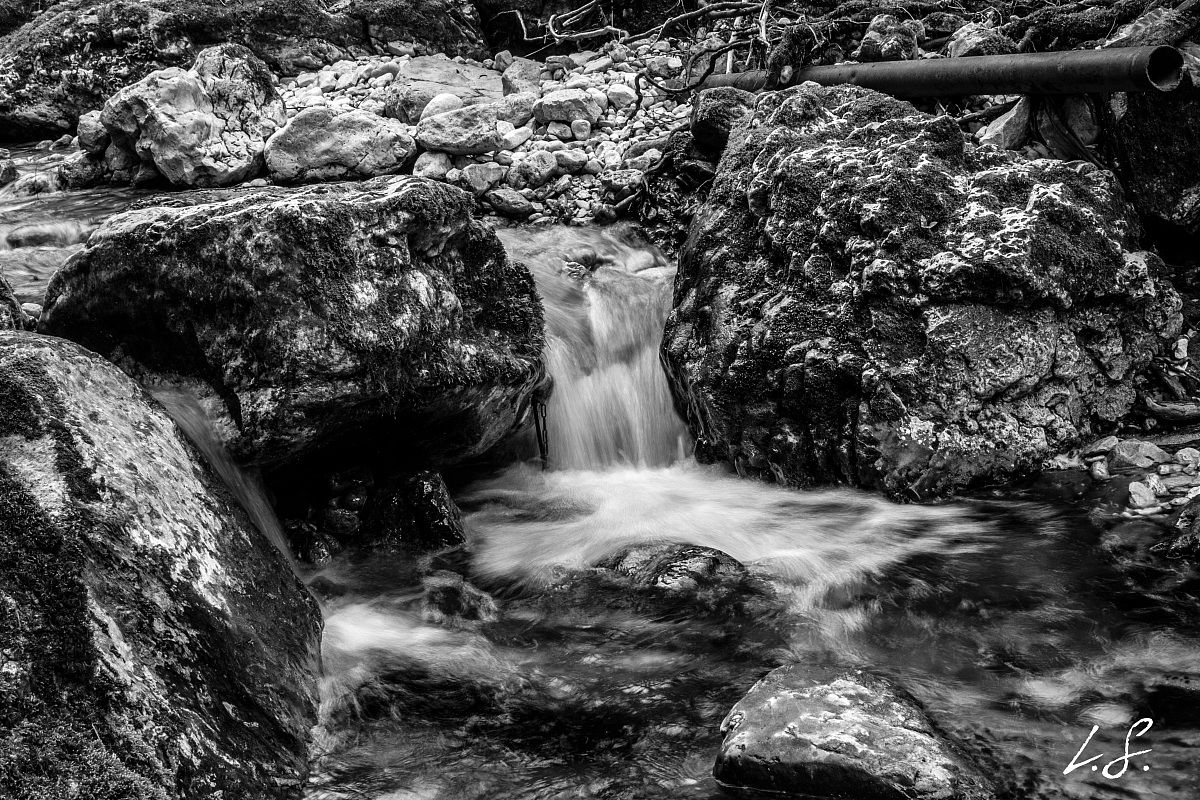 stream in b / w