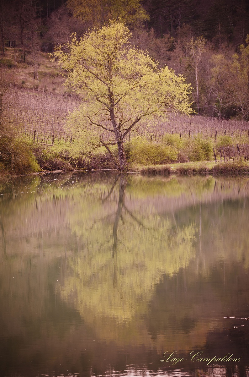 Lago di Campaldoni Ambra Arezzo