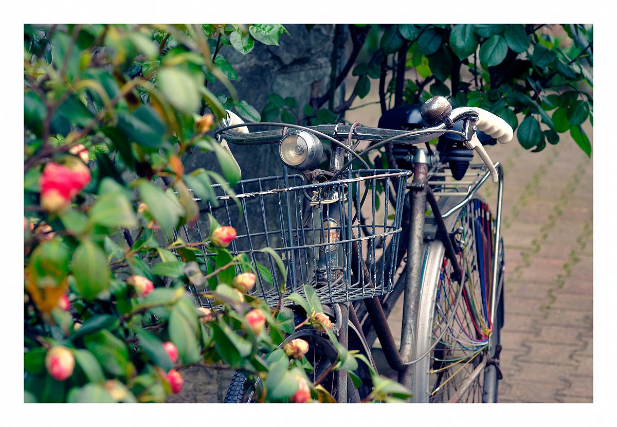 Il tempo si è fermato